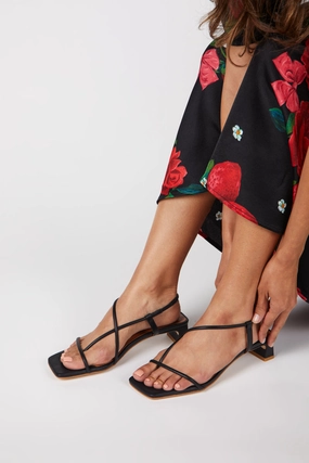 Anca Heel