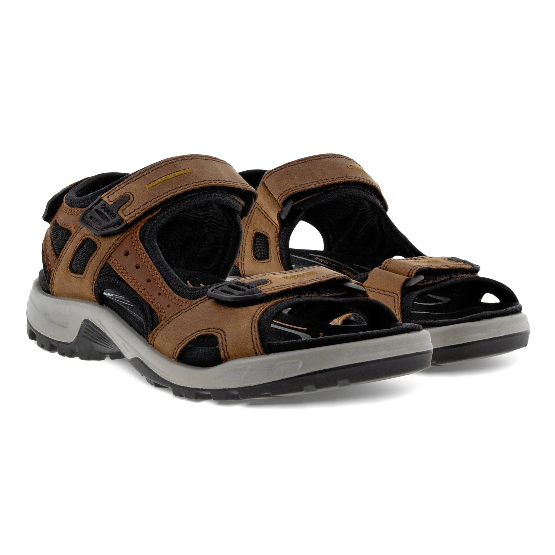 ECCO YUCATAN HOMME MARRON - 06956456401 POUR HOMME