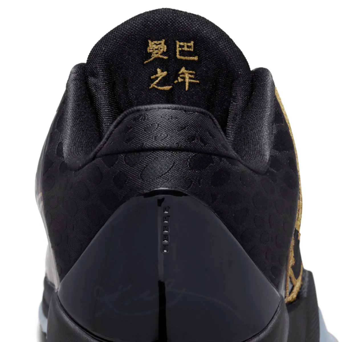 Kobe V Protro 'Année du Mamba'