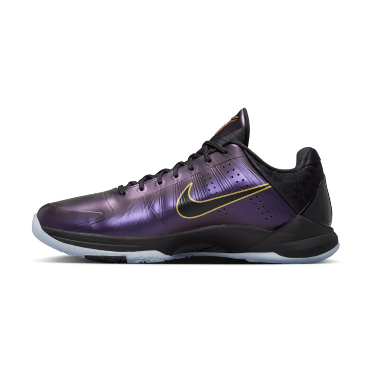 Kobe V Protro 'Année du Mamba'