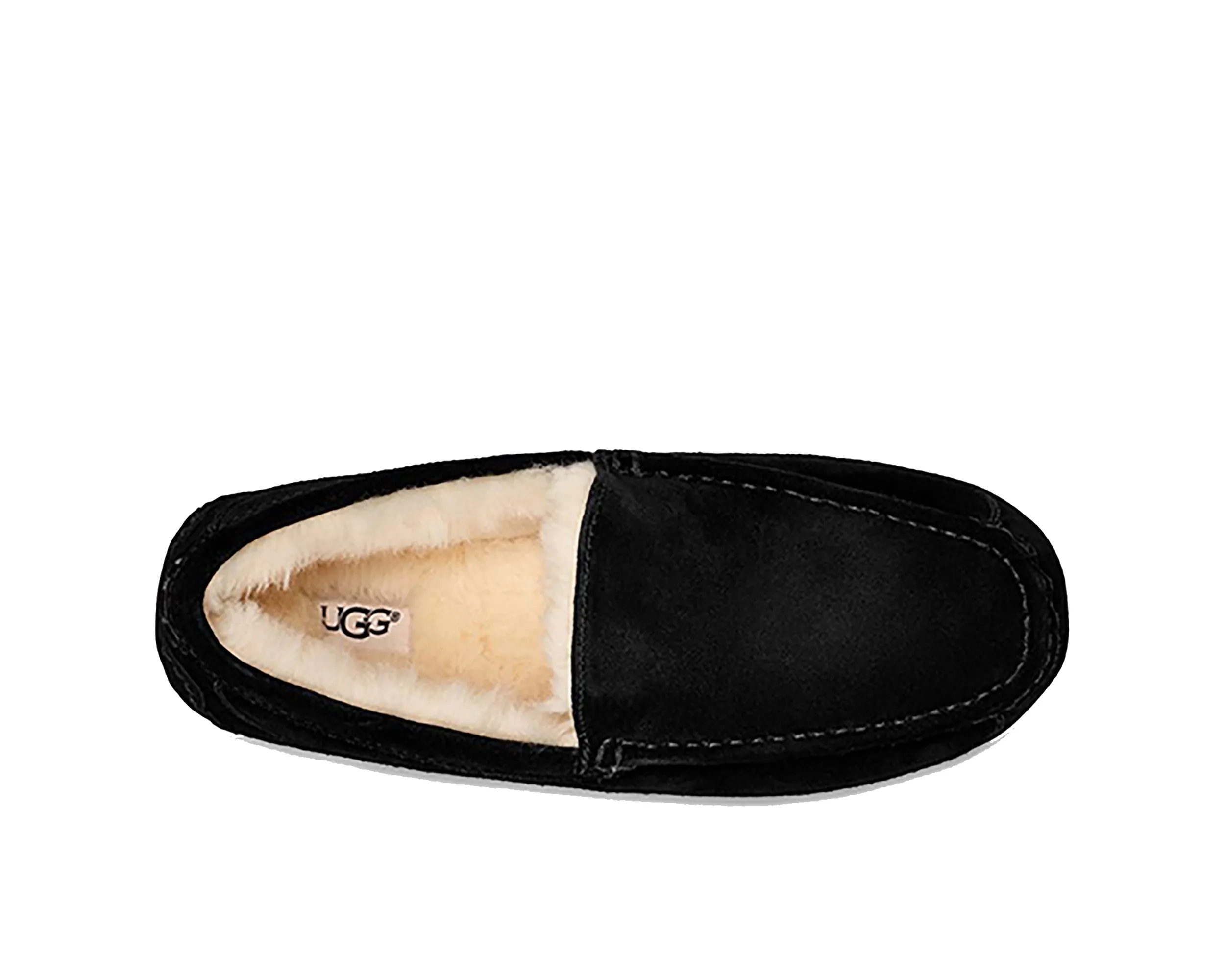 Pantoufle Ascot pour Homme