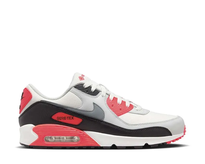 Chaussures Nike Nike Air Max 90 GTX