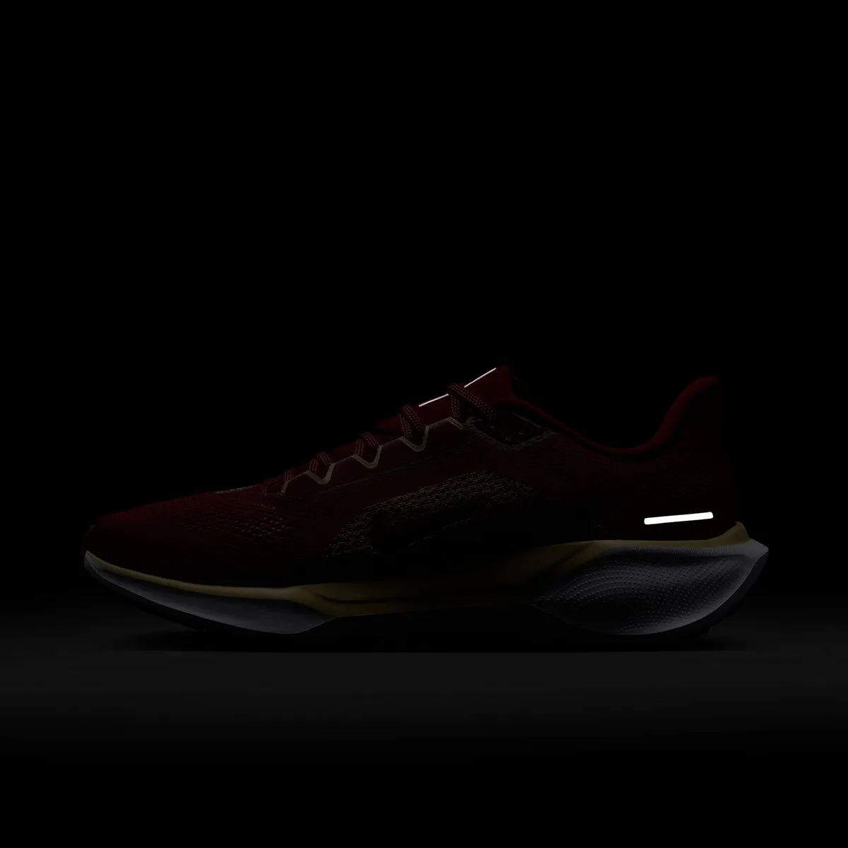 Nike Unisexe 2024 Florida State Zoom Pegasus 41