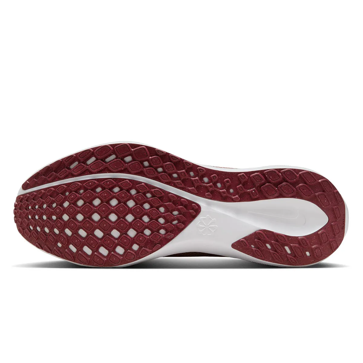 Nike Unisexe 2024 Florida State Zoom Pegasus 41