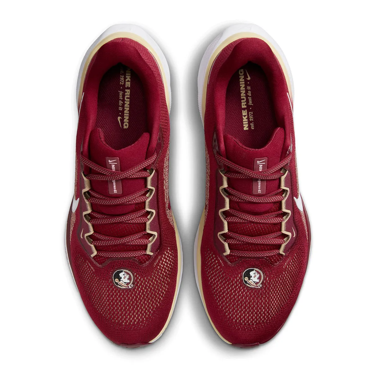 Nike Unisexe 2024 Florida State Zoom Pegasus 41