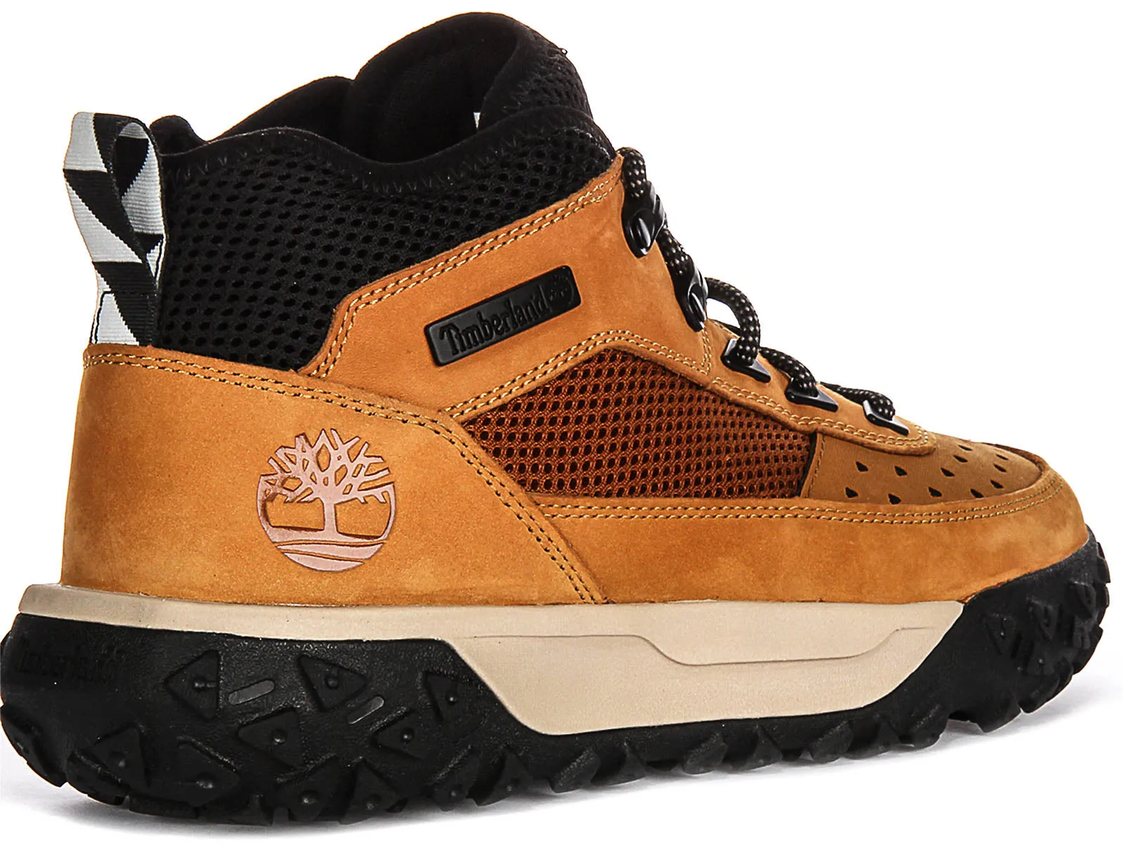 Chaussures Timberland Greenstride Motion 6 A5TPC en Blé pour Homme Timberland